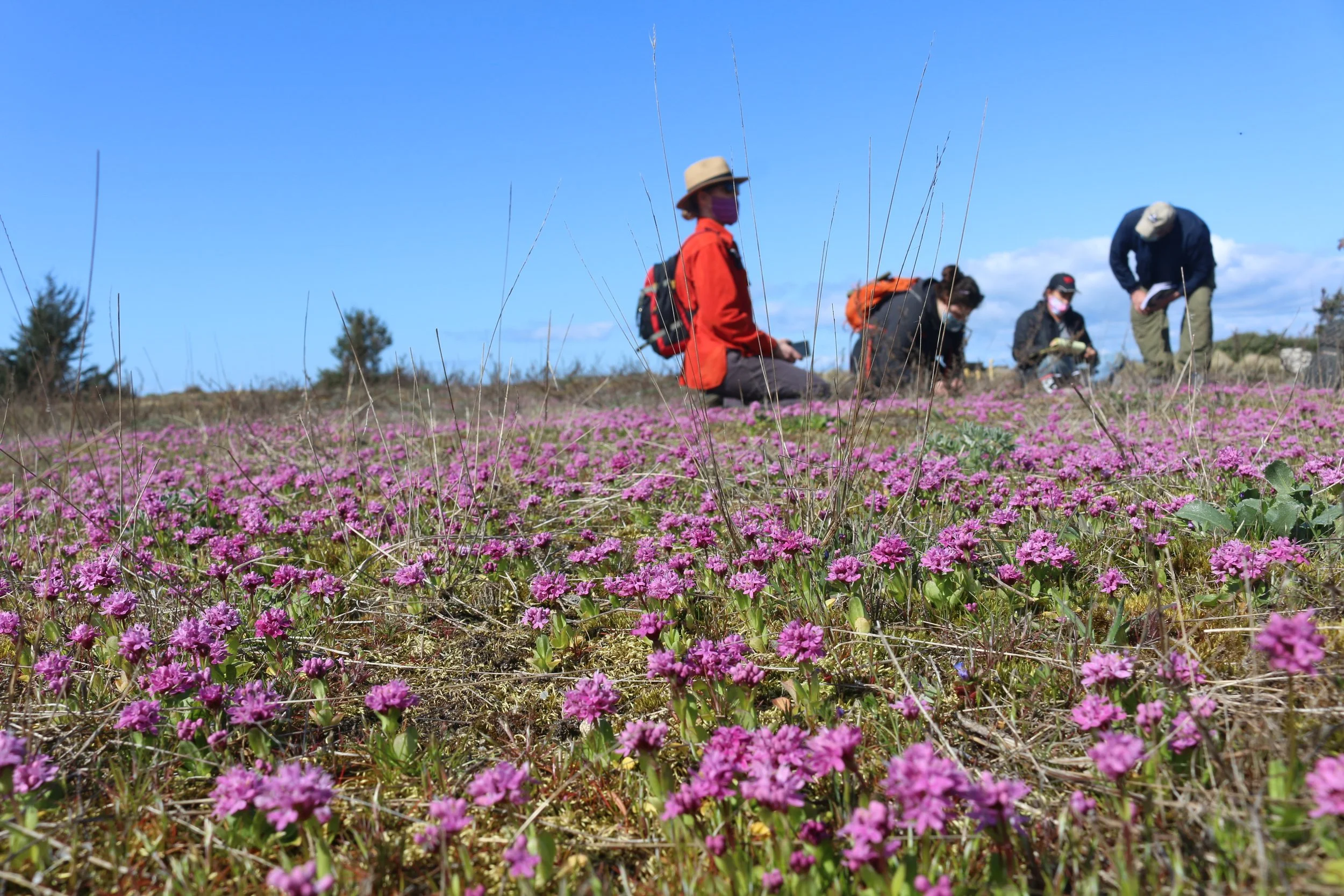 Weekend #1: Deception Pass State Park
