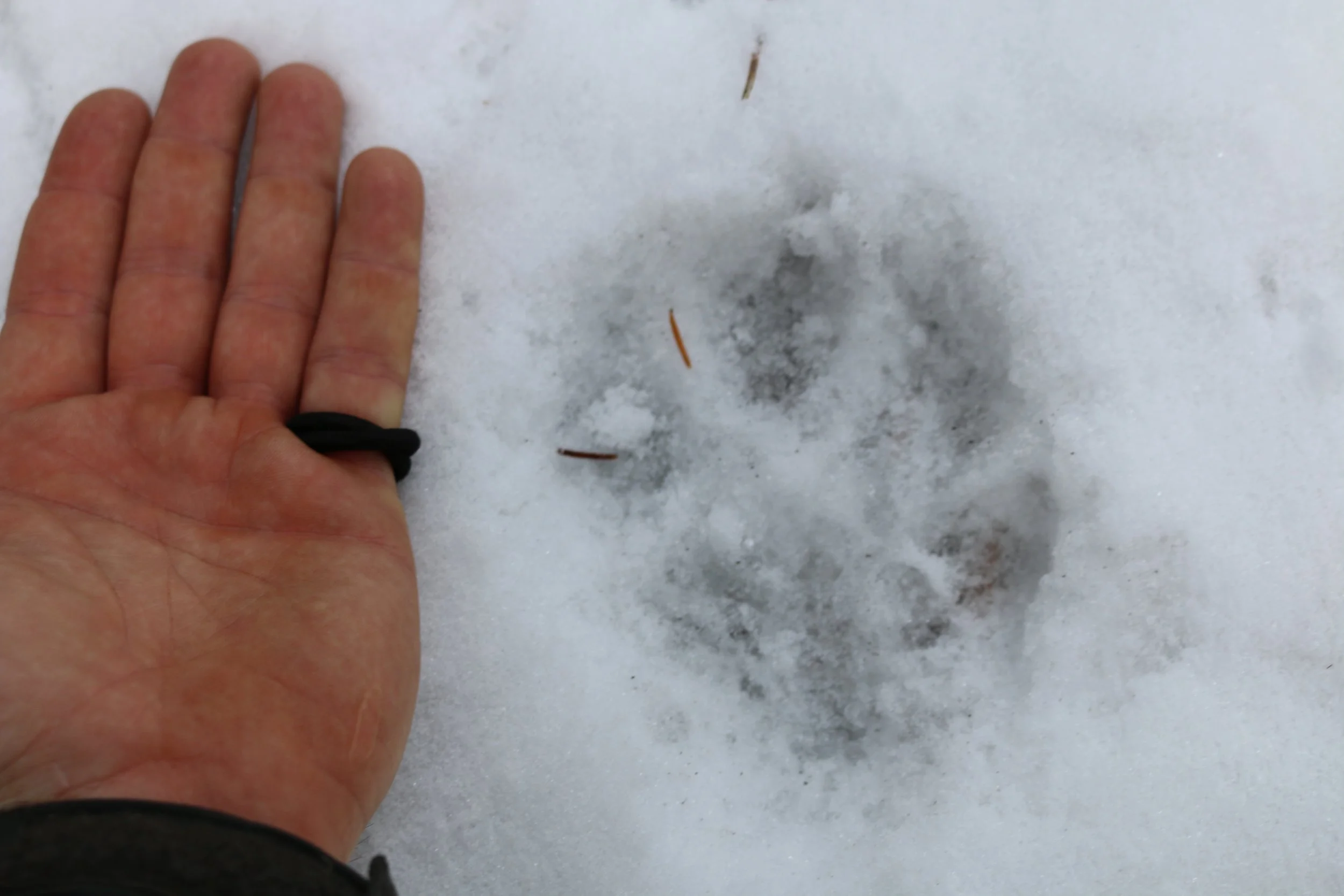 Weekend #1: Naturalist Introduction Weekend