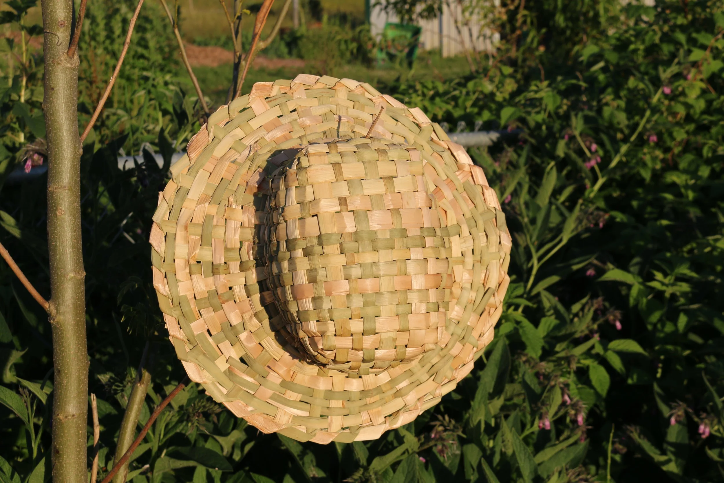Cattail and Tule Hats &amp; Campout by the Lake