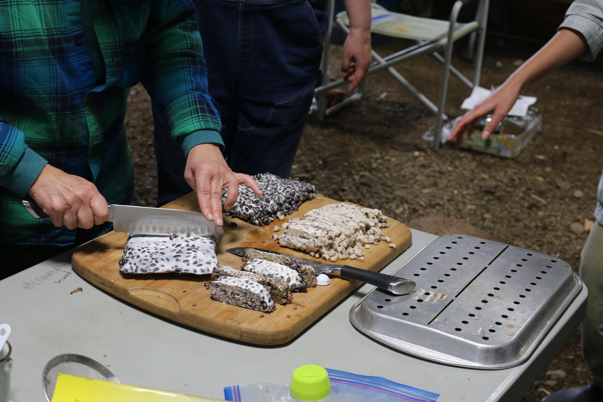 Weekend #9 - Fermentation and Root Processing
