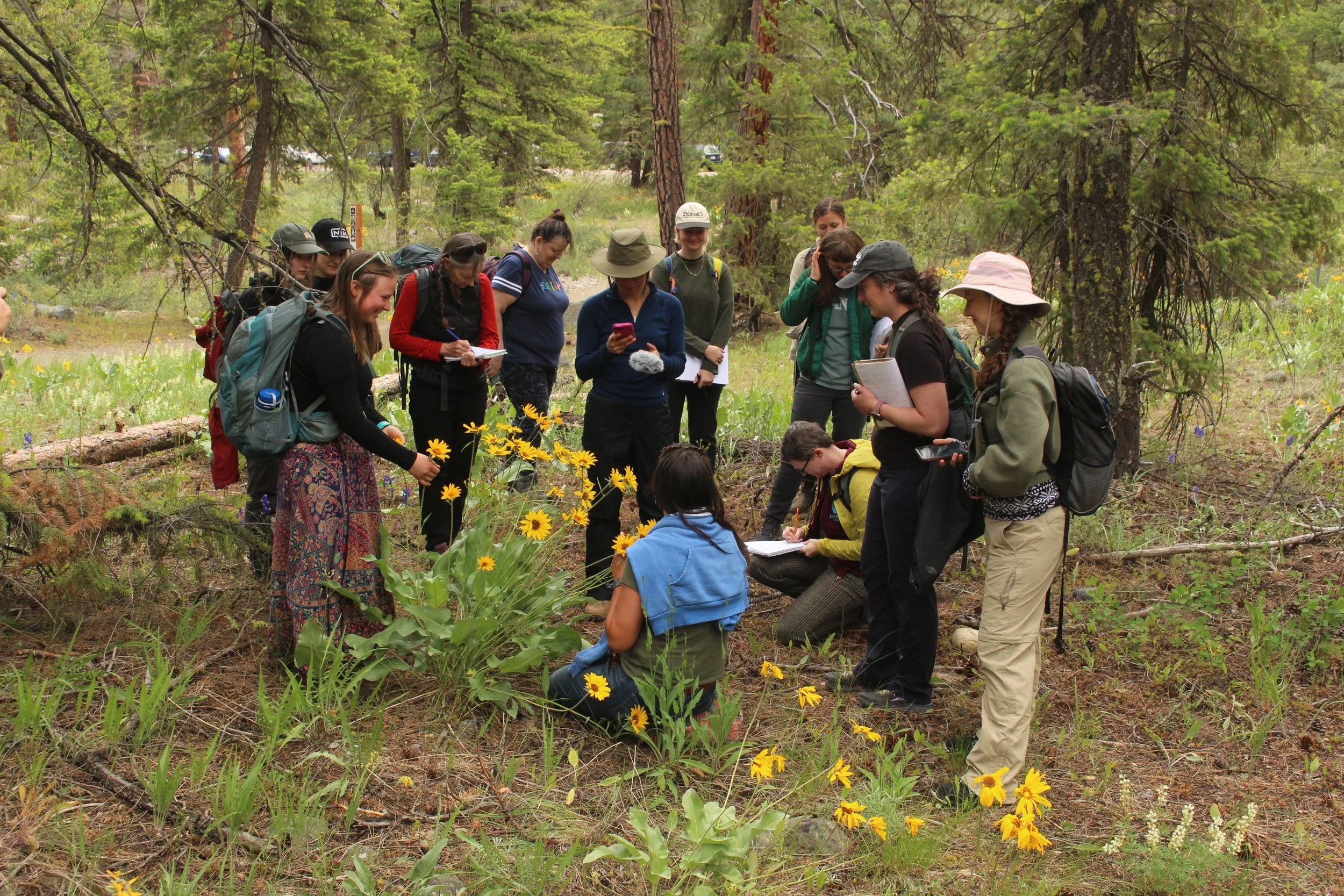 Methow Valley Ethnobotany: Weekend #3