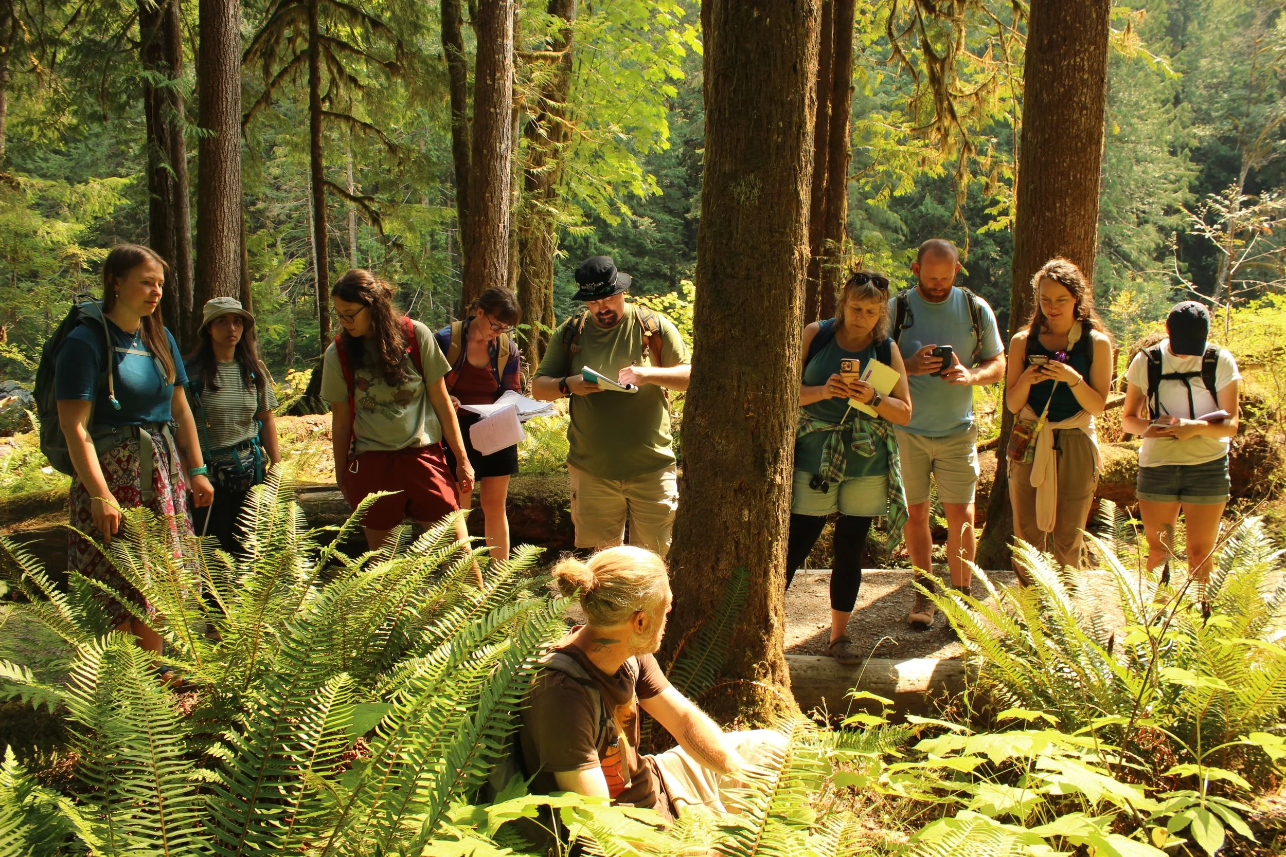 Mt. Baker Area Ethnobotany: Weekend #6