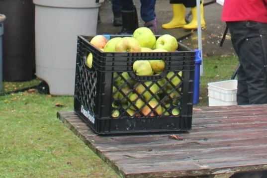 Raven's Roots Fall Potluck and Apple Pressing