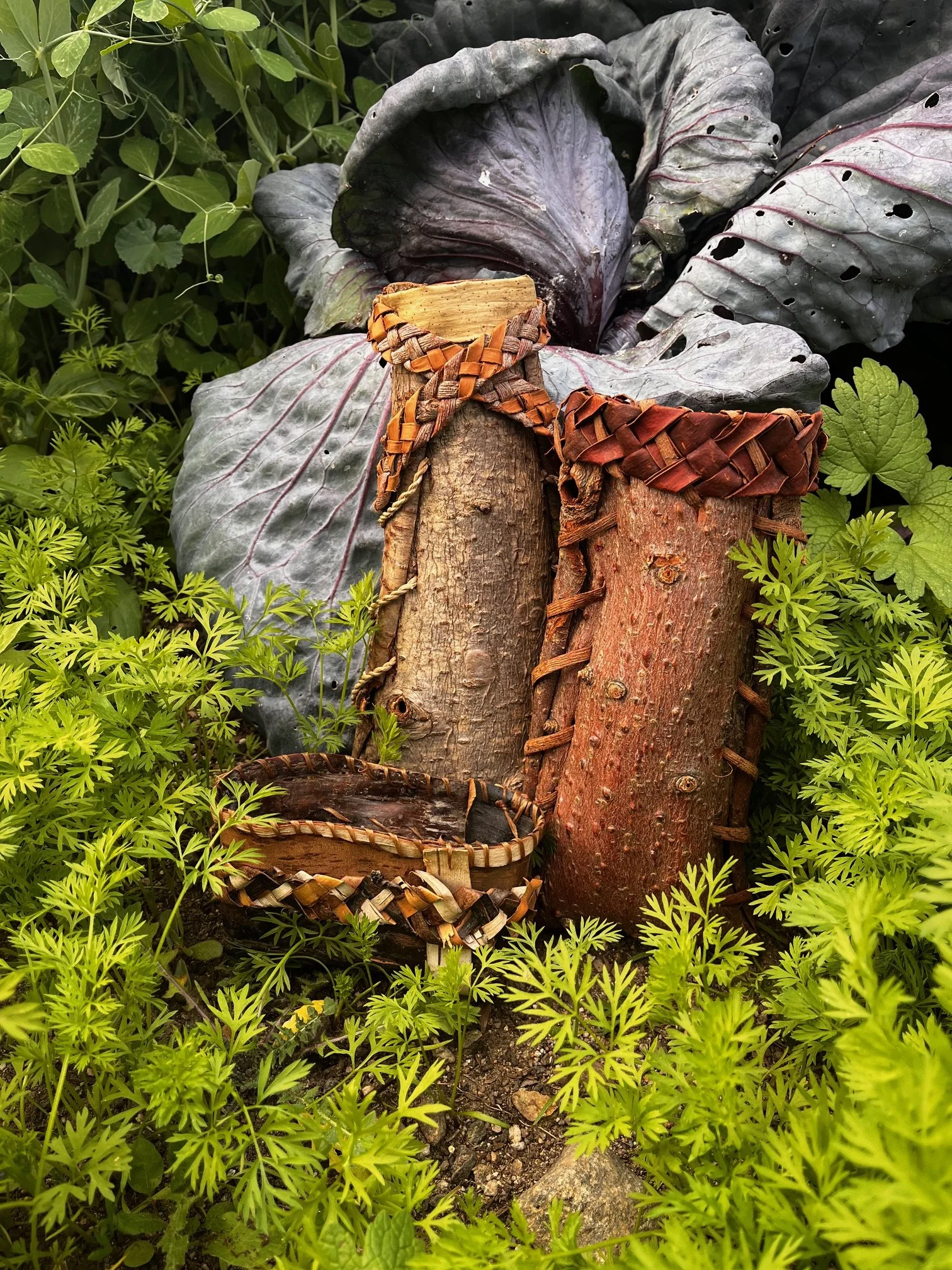Folded Fir Bark Baskets and Round Twined Cattial and Willow Bark Baskets