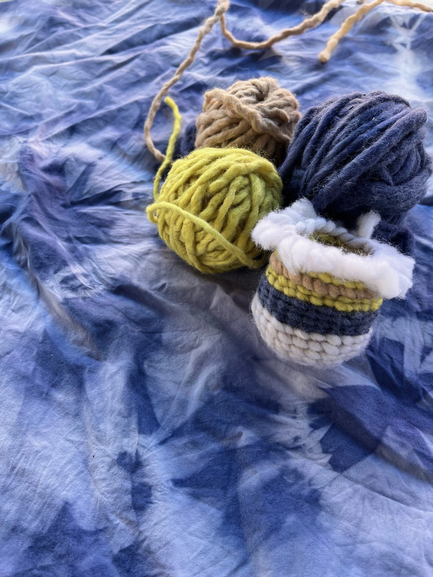 Wild Ferments and Dyes - Methow Valley