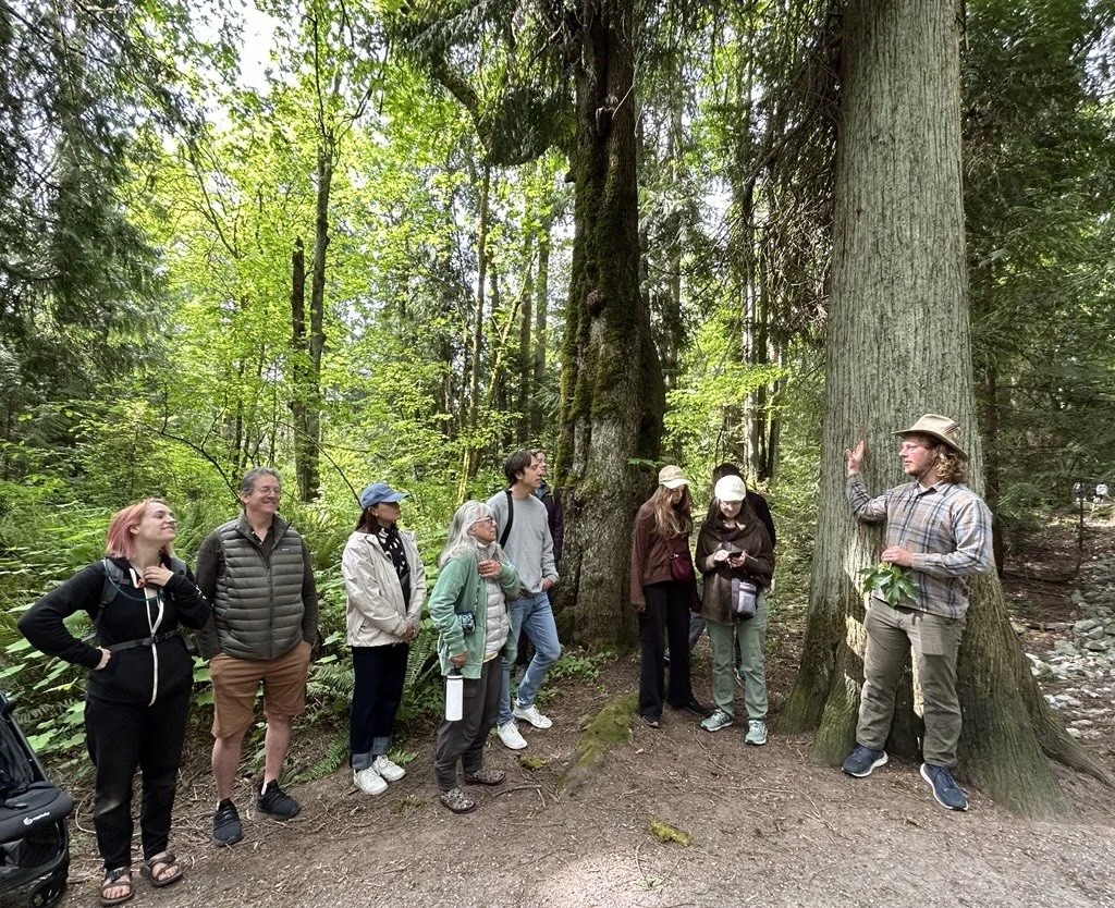 Free Fall Colors Tree Walk at Western Washington University
