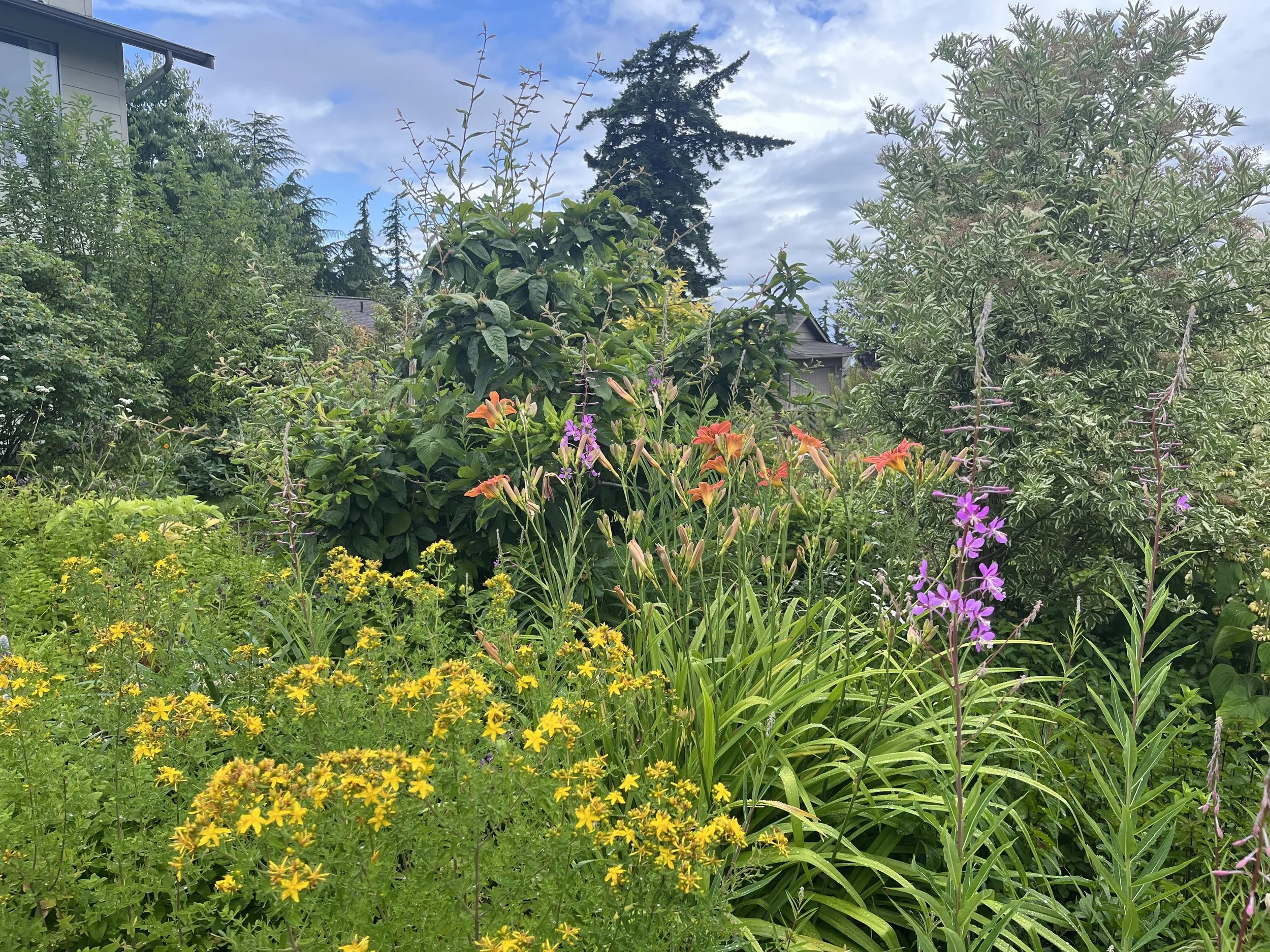 garden pic for summer tour.jpg