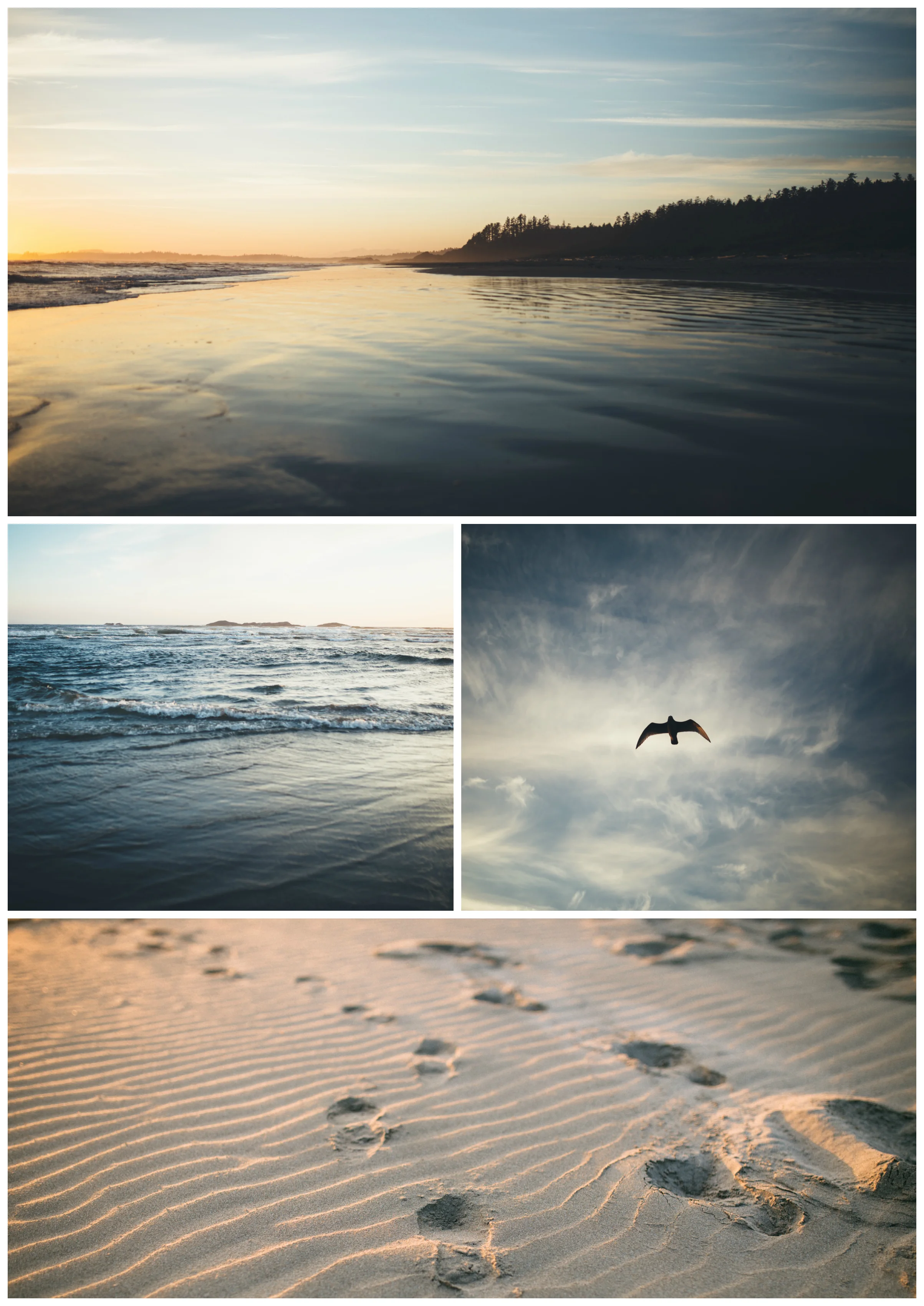 TOFINO-1.jpg