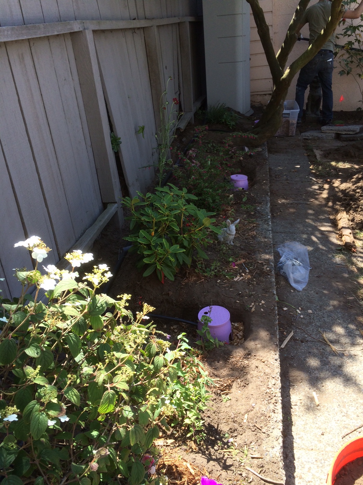 Laundry to Landscape Greywater