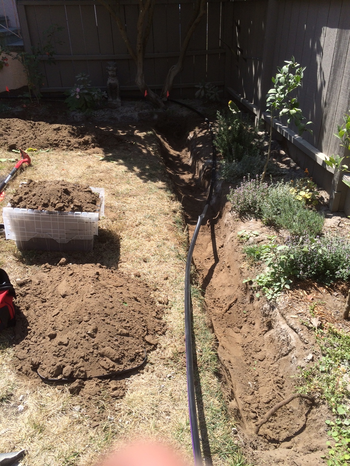 Laundry to Landscape Greywater