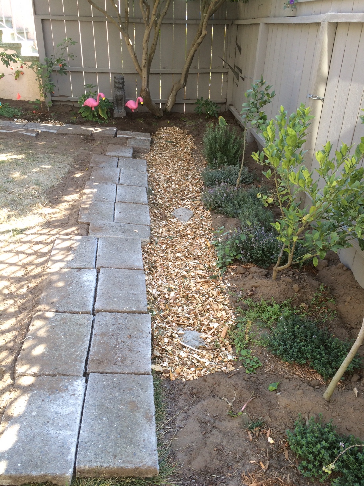 Laundry to Landscape Greywater Mulch Basin