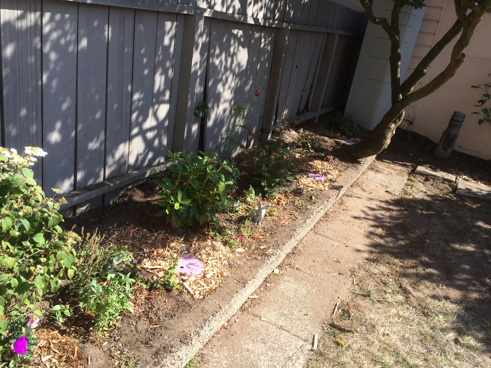 Laundry to Landscape Greywater Mulch Basin