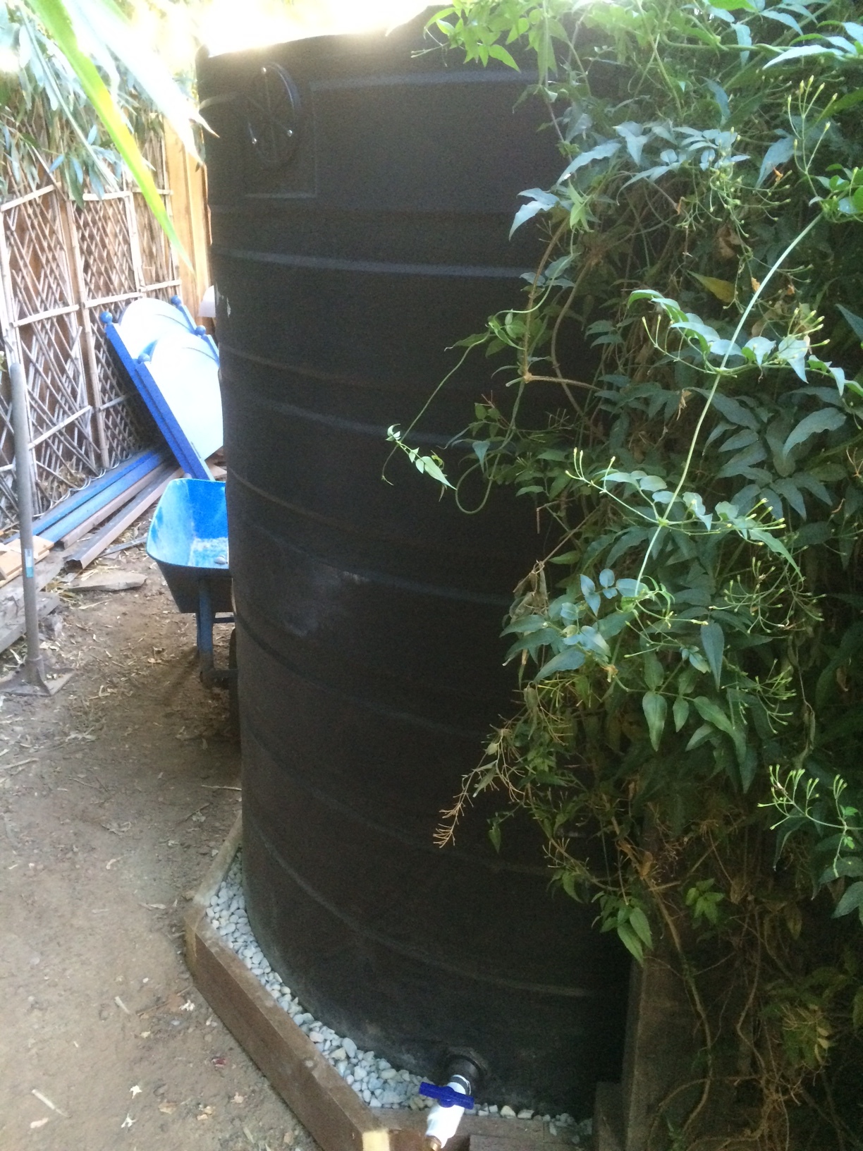 Rain Barrel Storm water capture