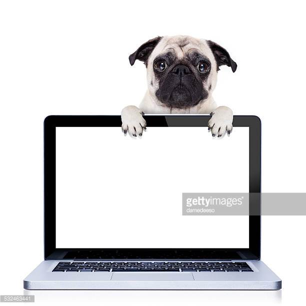 Photo by damedeeso/iStock / Getty Images