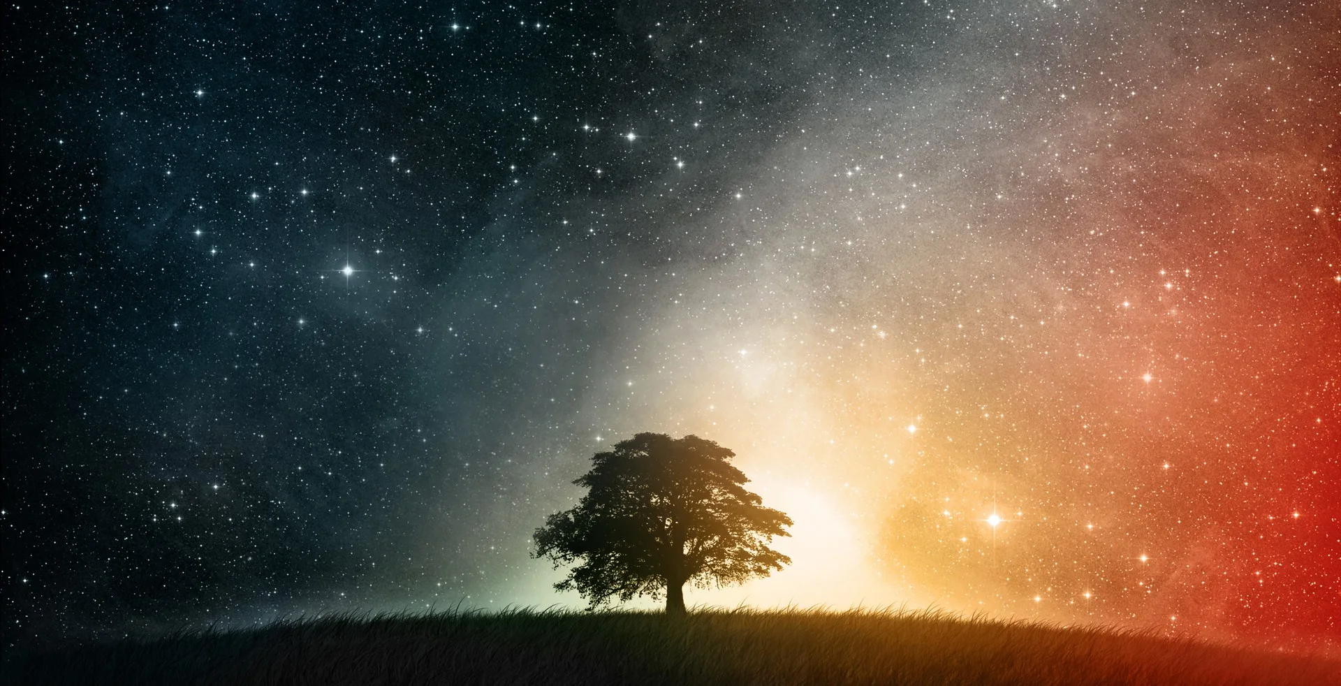 Self Mastery and self Transcending