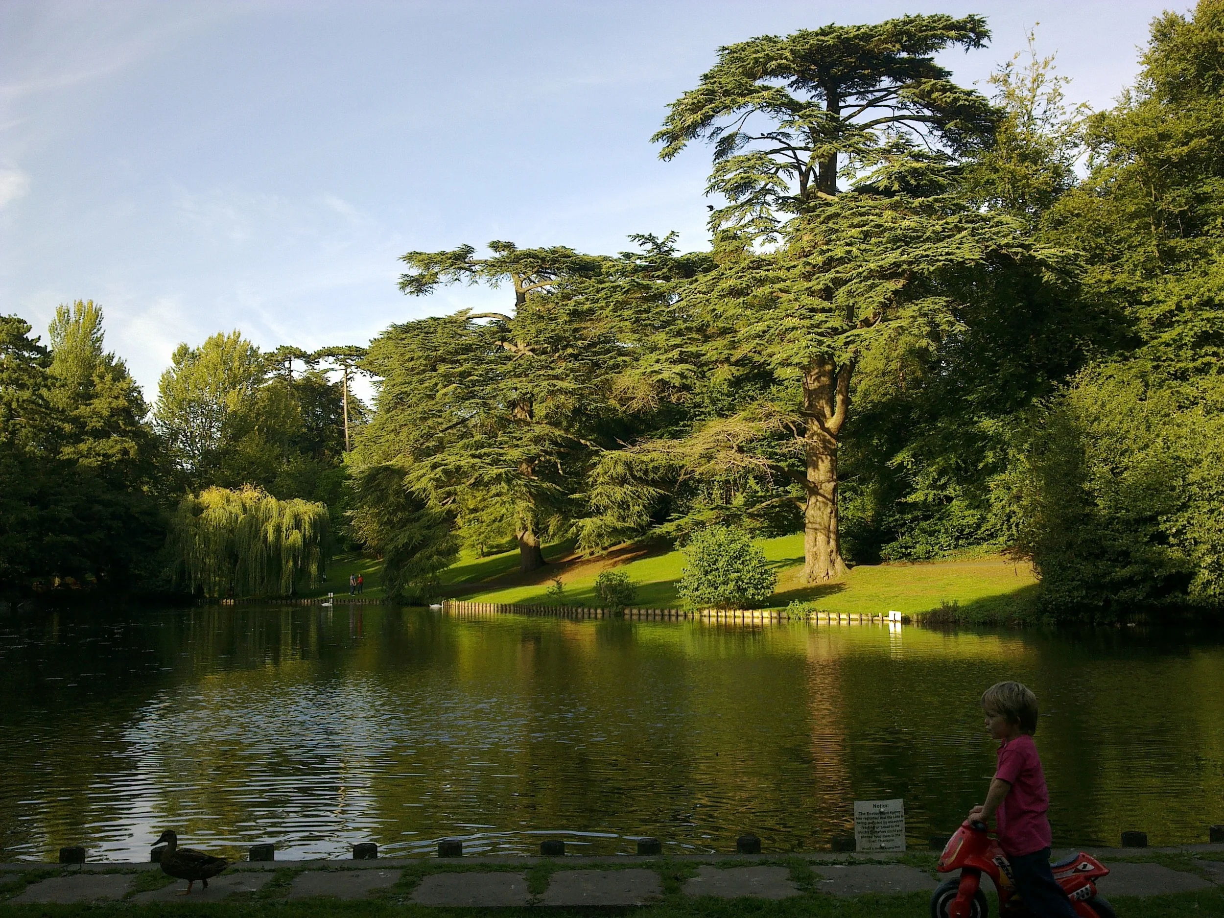 Stroud Evening Satsang