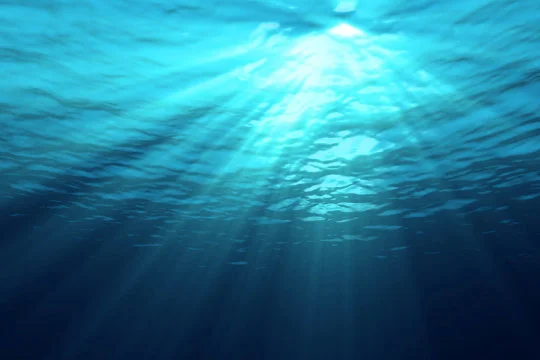 150420122828_1_540x360.jpg