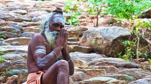 image-asset (2).jpeg