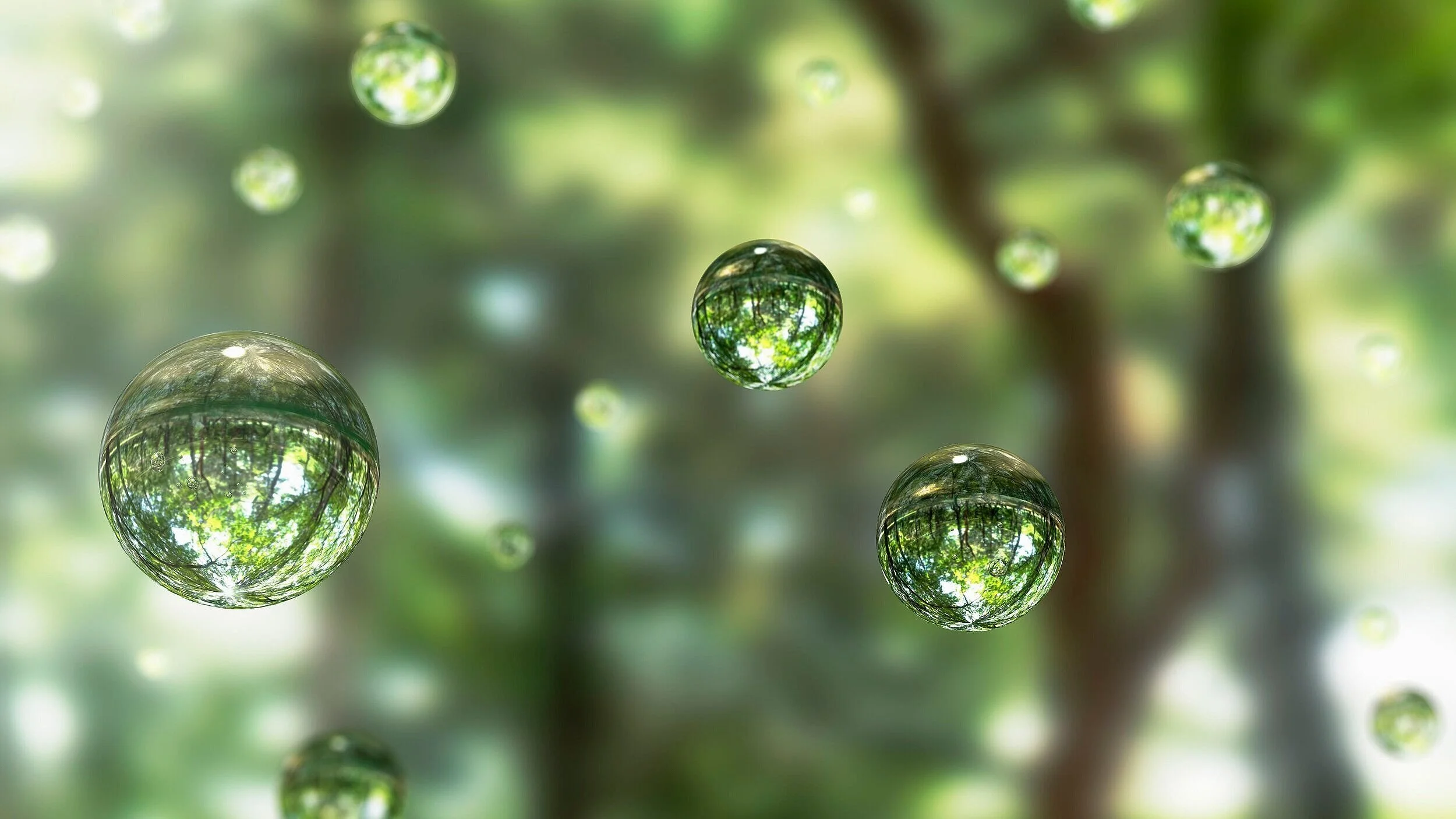 8 Day Full Immersion Retreat 