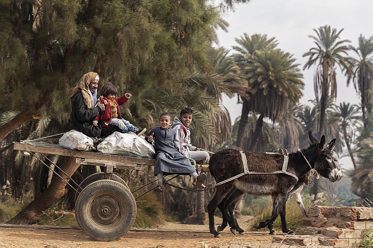 1200px-Donkey-drawn_cart_in_Aswan_2019_with_a_man_and_three_children.jpeg