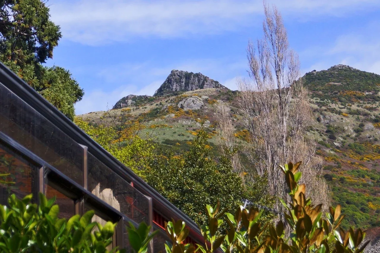 Hills+and+windows.webp