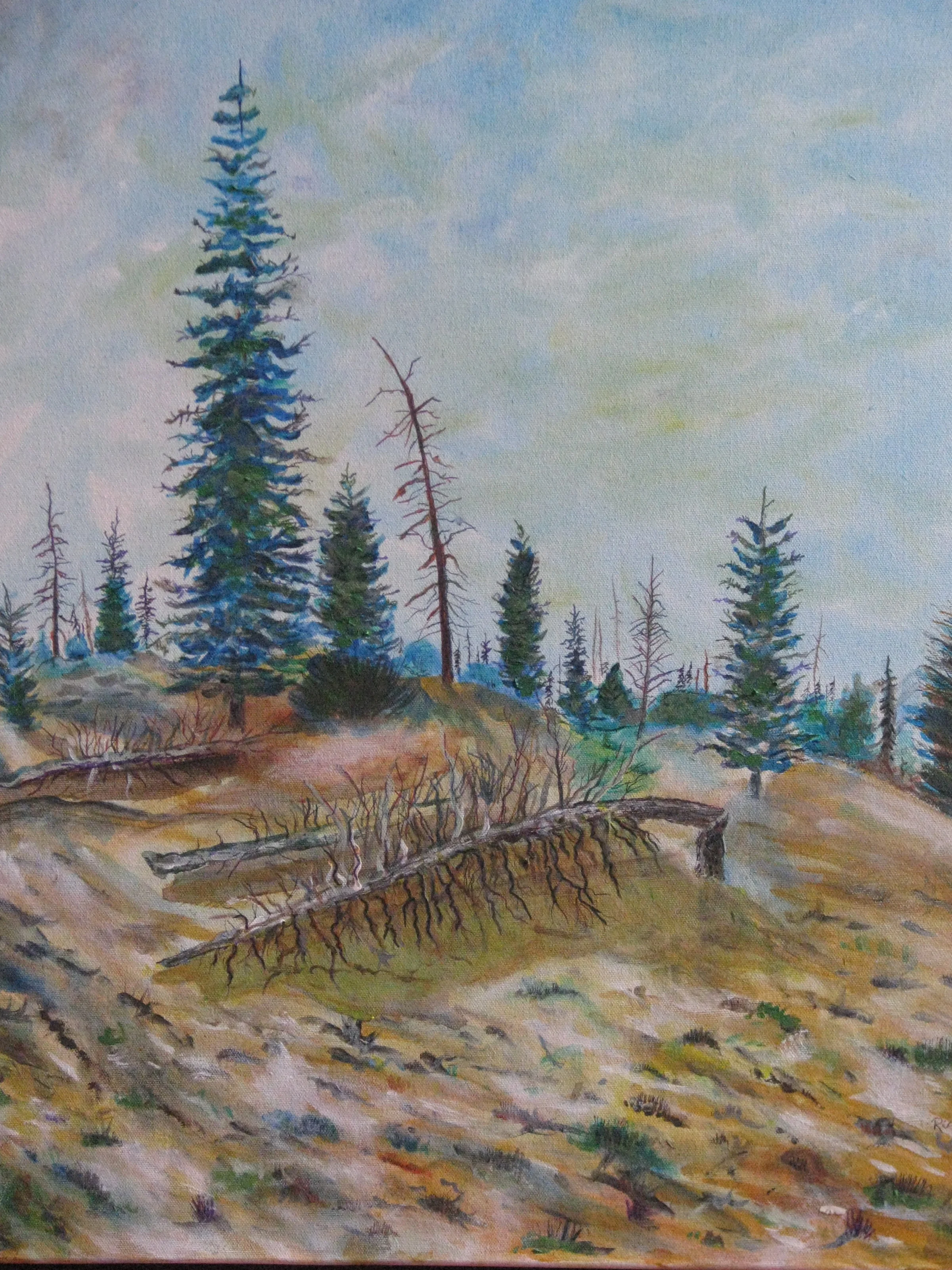    Up from the Beach at Minowukaw Bay   Acrylic on canvas. 20 in. x 24 in. &nbsp; For sale @ $200 