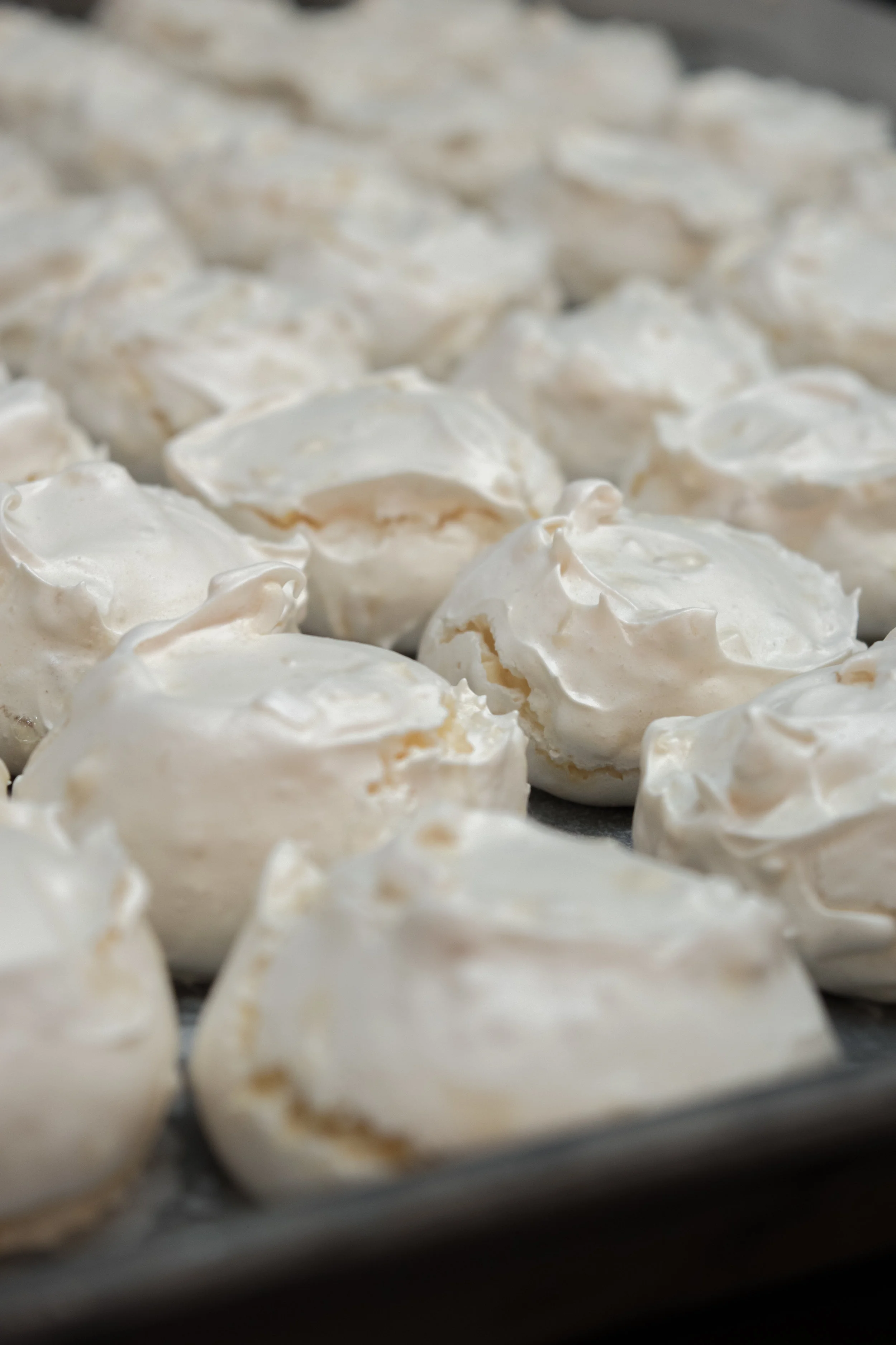 pav close up.jpg