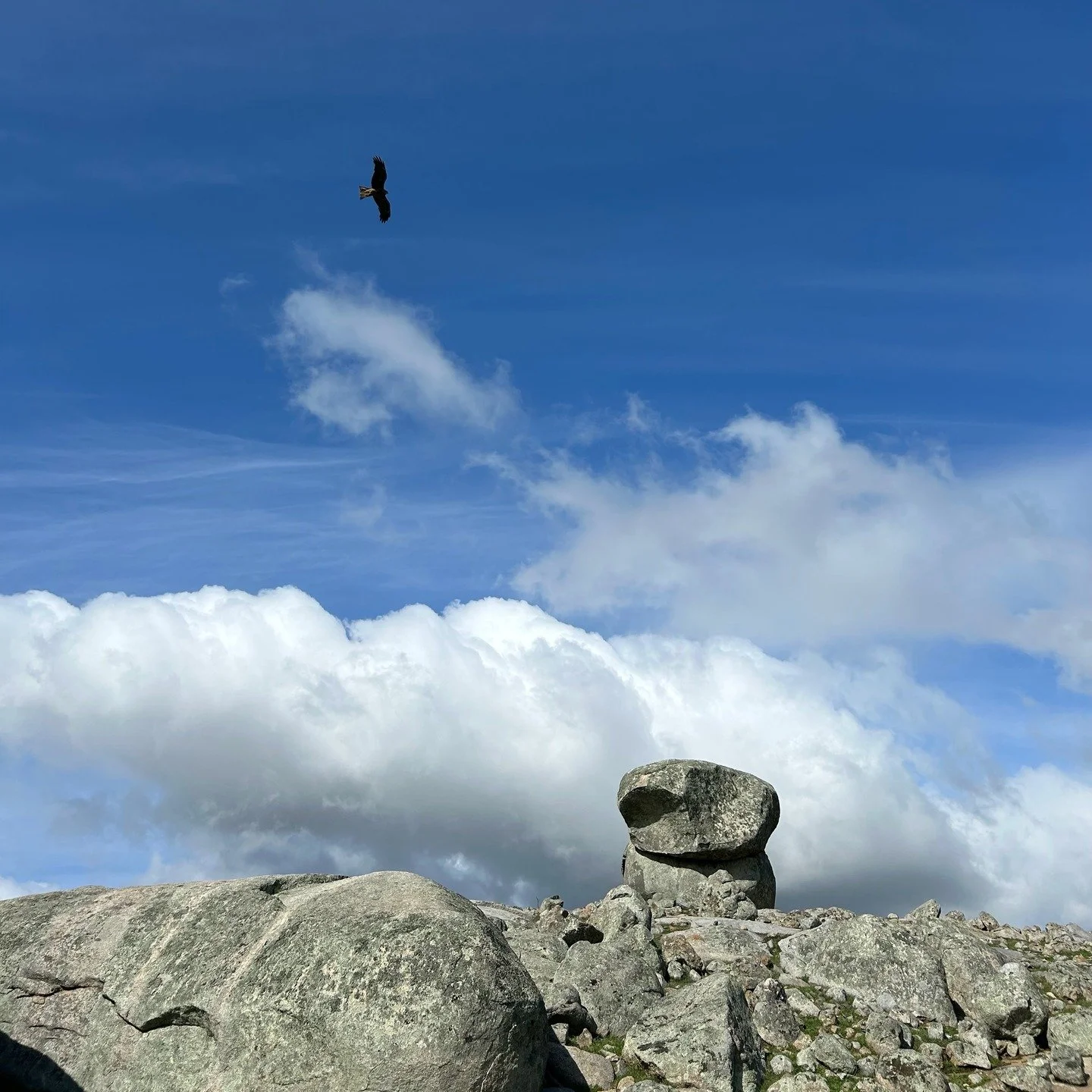 Privileged to be working on a new accomodation project amongst the granite boulders in rural Victoria. More information to come in 2026.
.
.
.
.
.
.
#ballaratarchitect #ruralarchitecture #australianarchitecture #architecture #luxuryhut #luxuryaccommo
