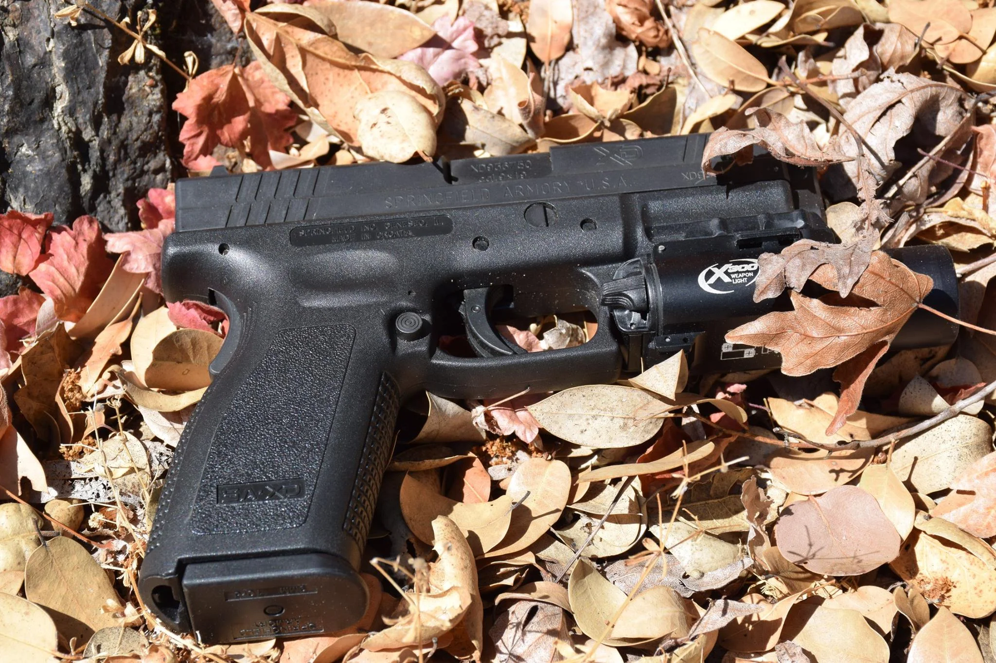 Springfield XD9 