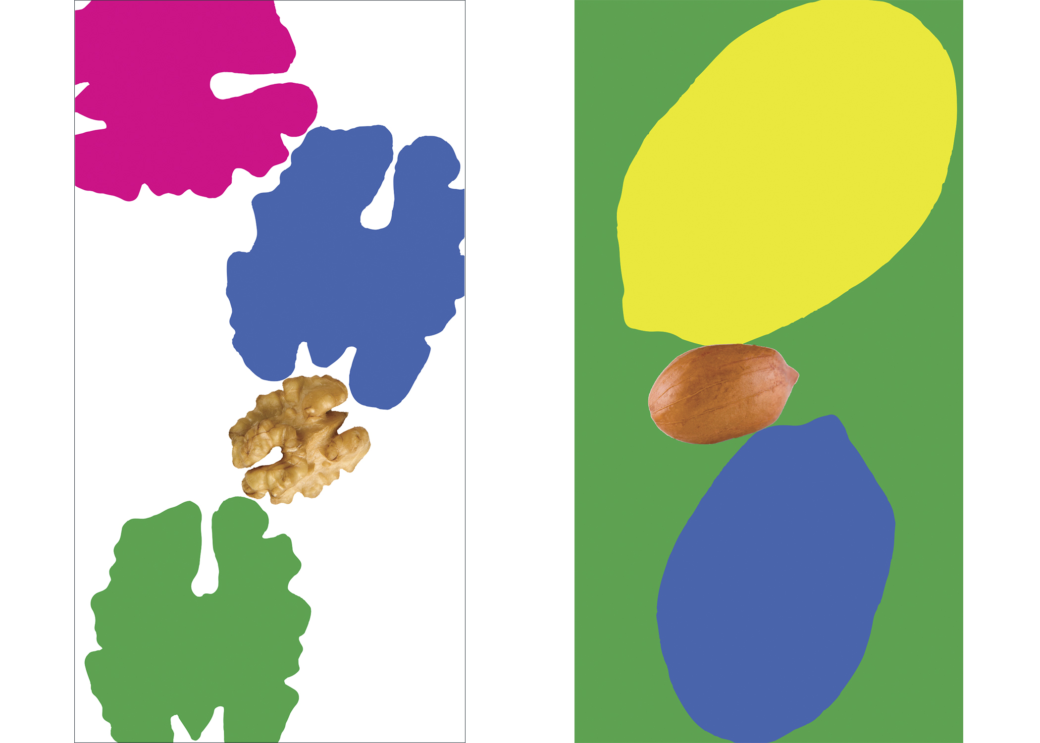 I chose to bring color to the brand to emphasize the use of fruit in their chocolate and to make their product more eye catching to a younger generation who might not know the brand.