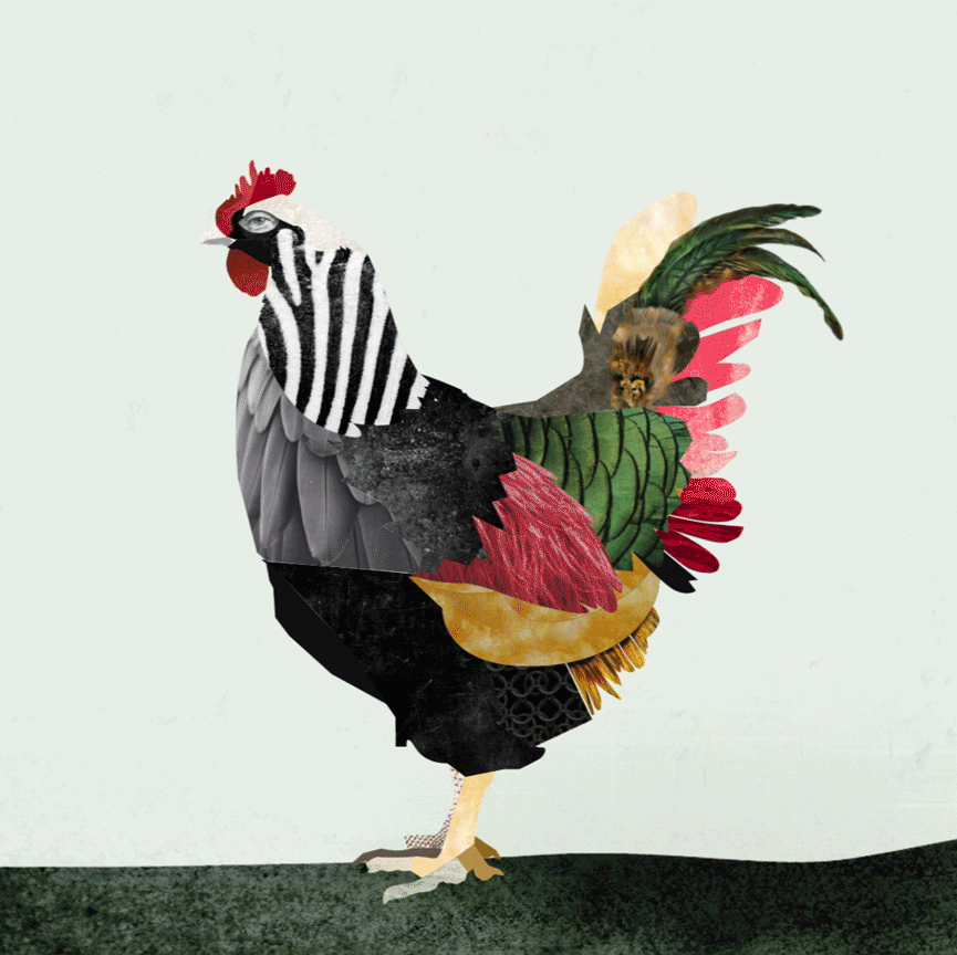WhichCameFirstTheChickenOrTheEgg.gif