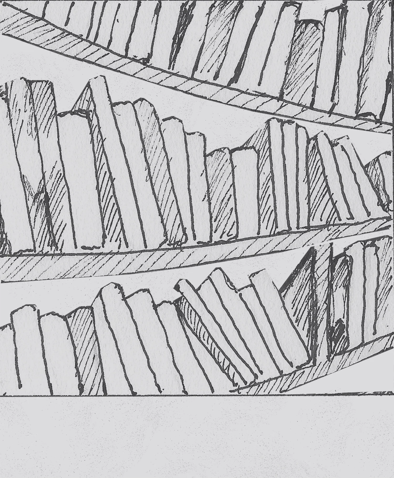 BookShelfCoverSm.jpg