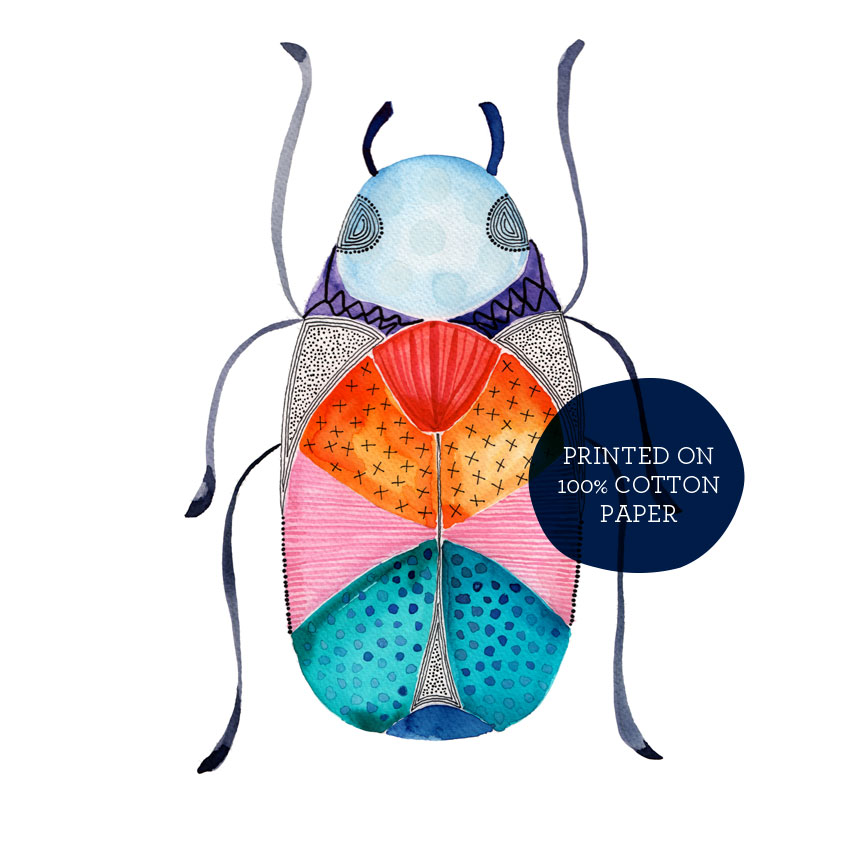 Beetle-Image-Two.jpg