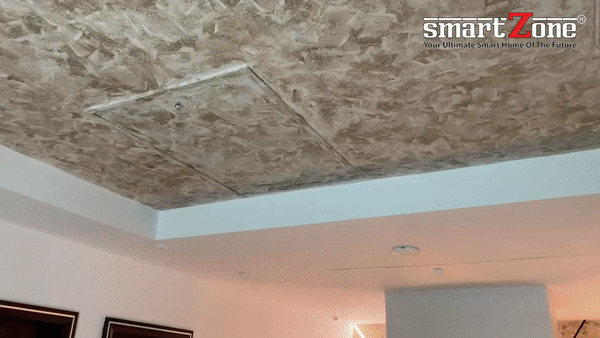 smart leadder & lift.gif