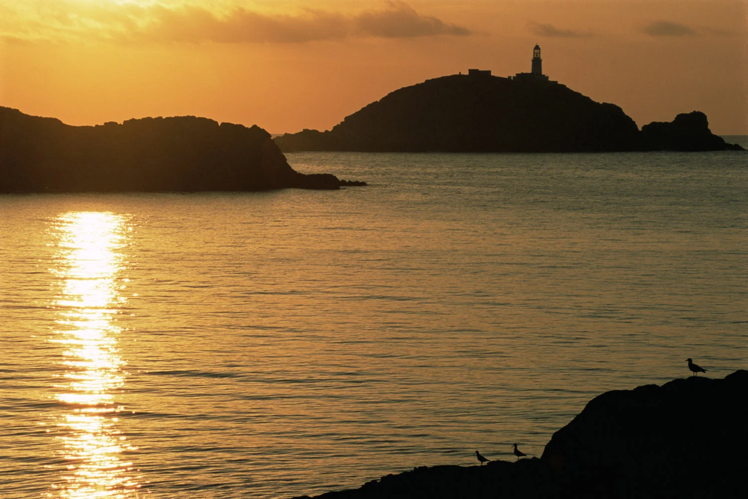 Round Island lighthouse with herring gull and oystercatchers silhouetted at sunset, St Martin's, Isles of Scilly, England