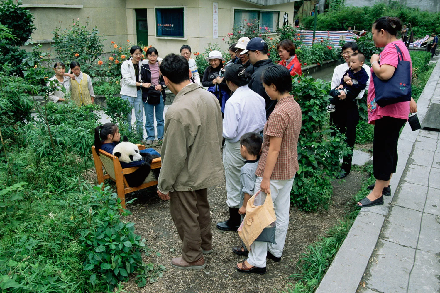 Tourists with giant panda cub, Giant Panda Breeding Centre, Wolong National Nature Reserve, Sichuan, China