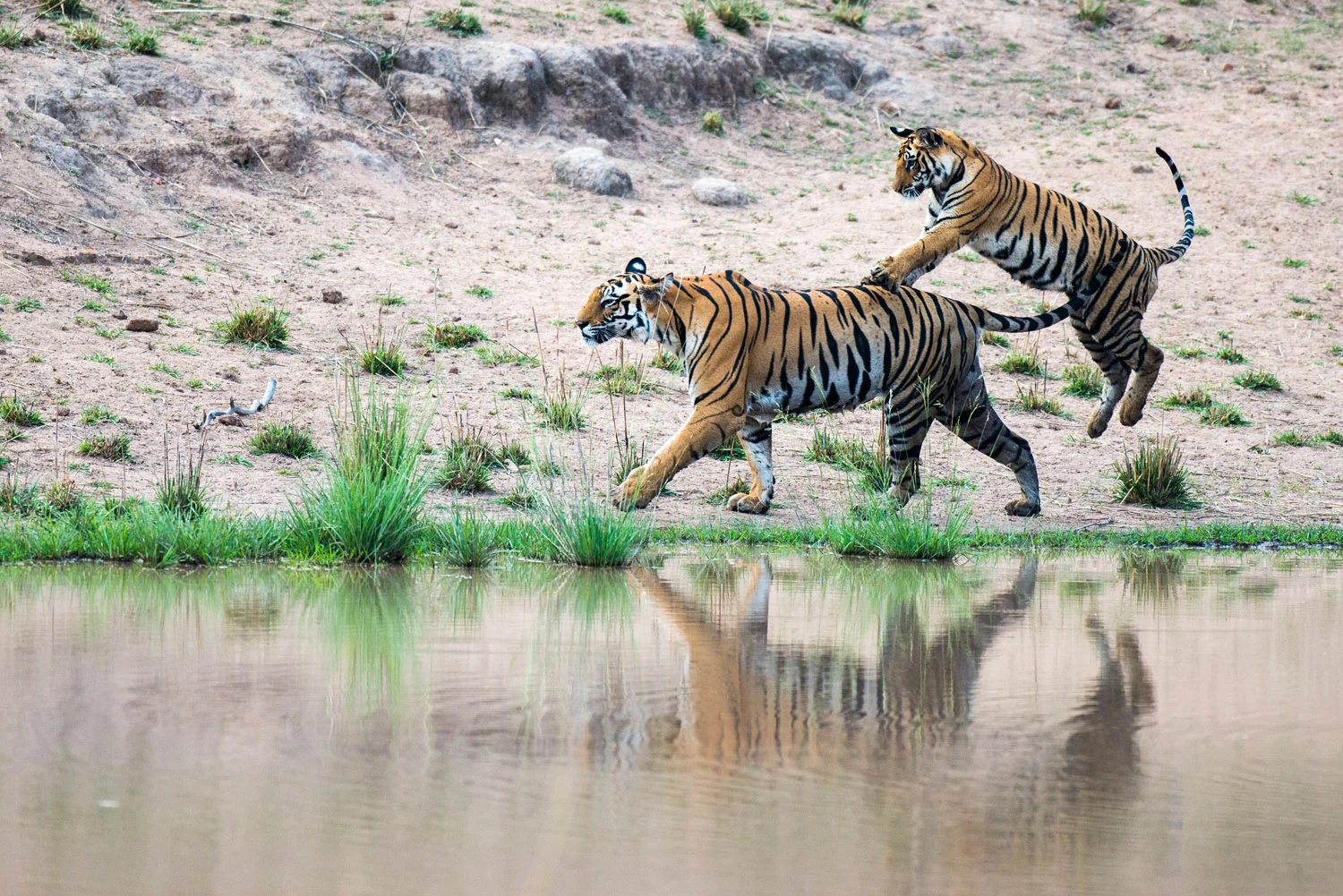 BANDHAVGARH