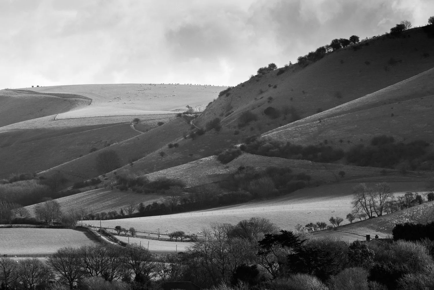 South Downs, looking east from Beeding Brooks, Sussex, England