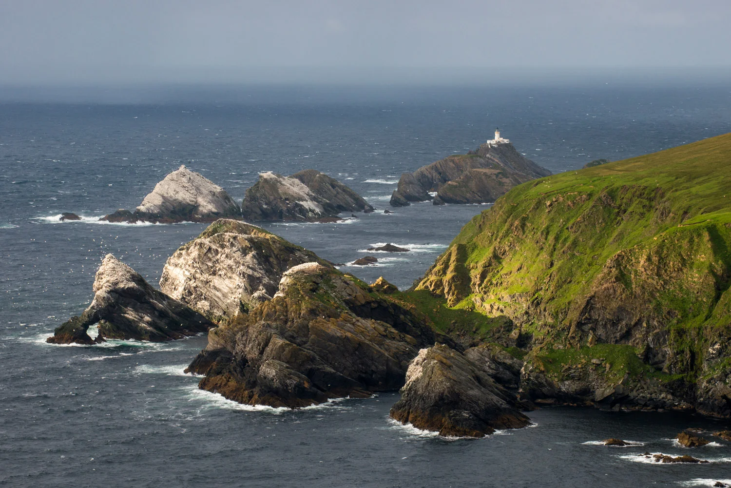 View across Northern gannet breeding colonies on rocky islands towards Muckle Flugga lighthouse, Hermaness National Nature Reserve, Unst, Shetland Islands, Scotland