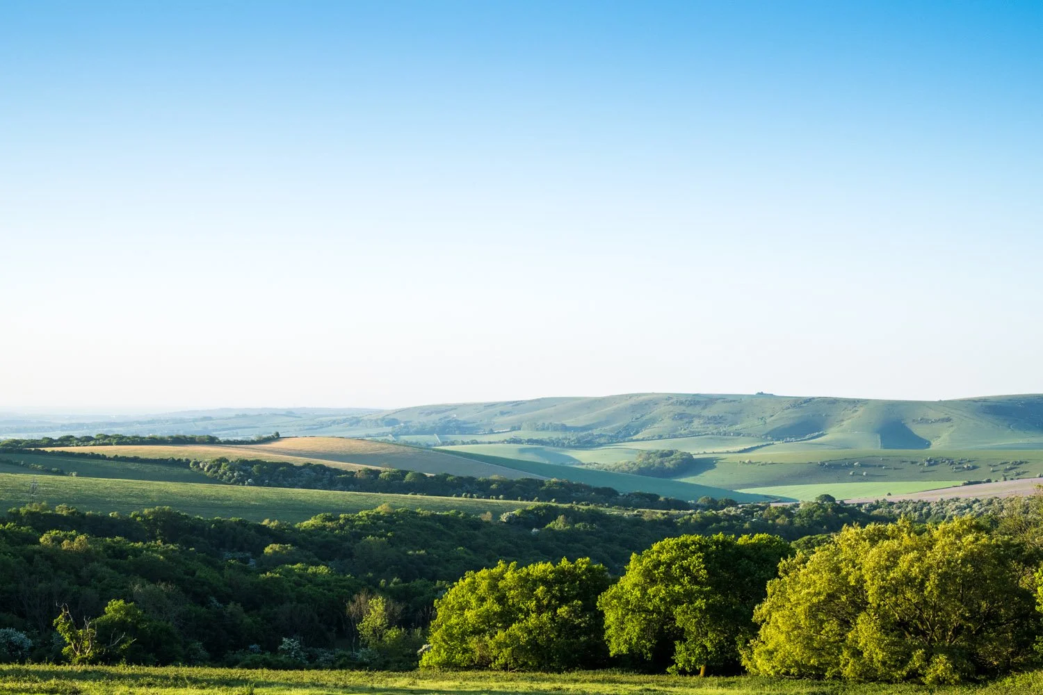 View south across Ashcombe Bottom woods from Blackcap hill, South Downs National Park, Sussex, England