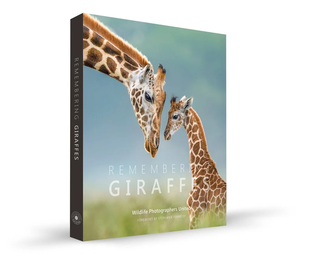 REMEMBERING GIRAFFES