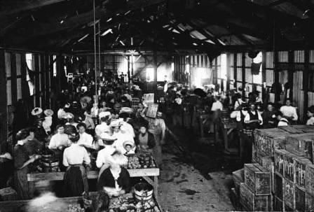 Photo: Melbourne Textile Factory, Museum Victoria PA004794 http://www.womenworkingtogether.com.au/6.Moving%20into%20the%20Public%20World.html