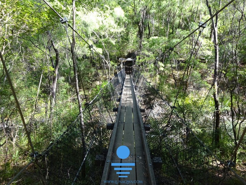 'Bridge to Insanity' - GS-007 - LARGE