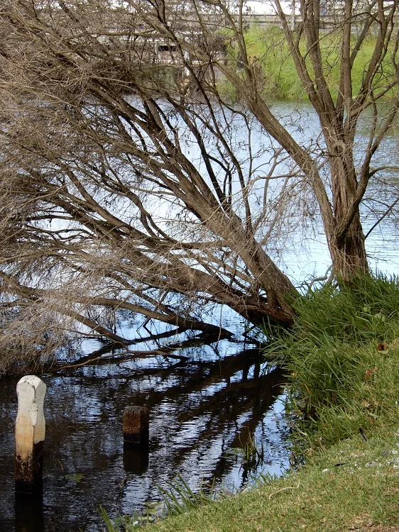 Arthur & Norah Breeden Park