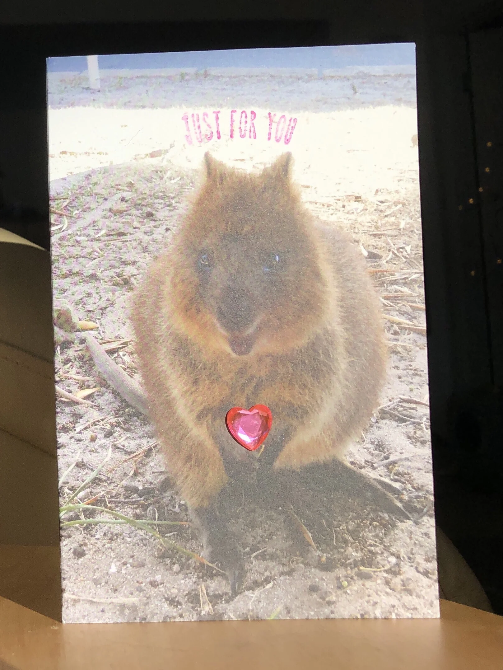 Quokka Valentine -just for you.jpg
