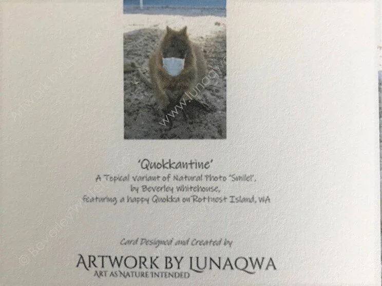 Quokkantine - back.JPG