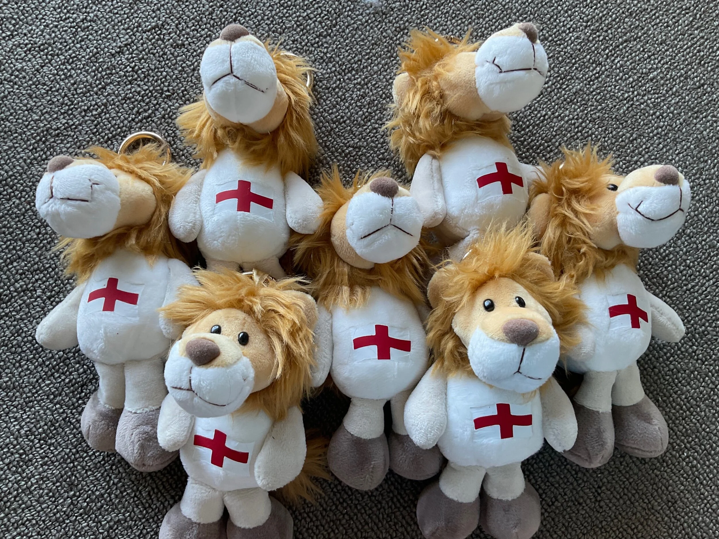 CF9C0F4E-0159-402E-8965-82F78B99C3EA