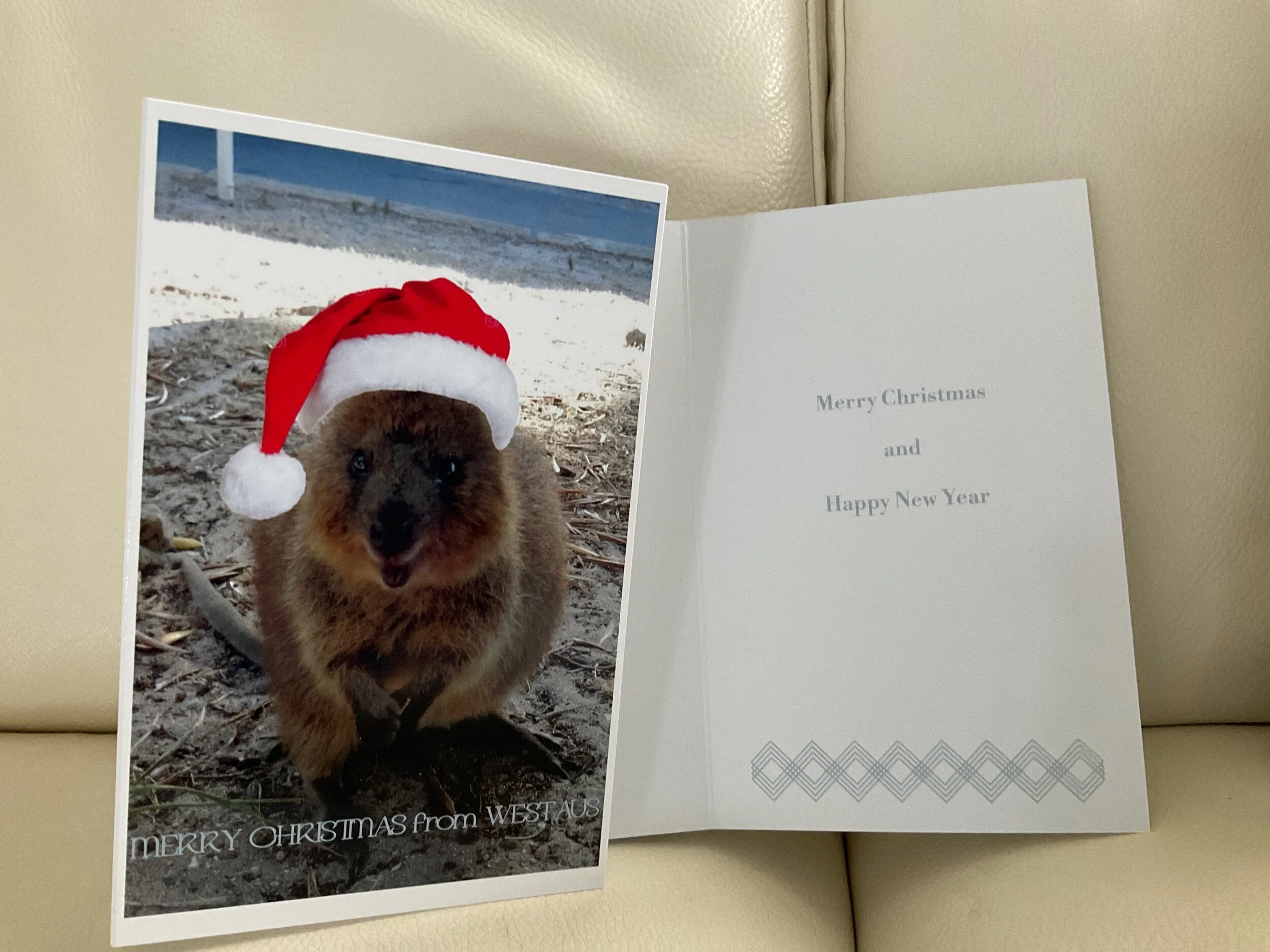 6285606F-0C50-4E9C-A3AB-BC7203A187DB