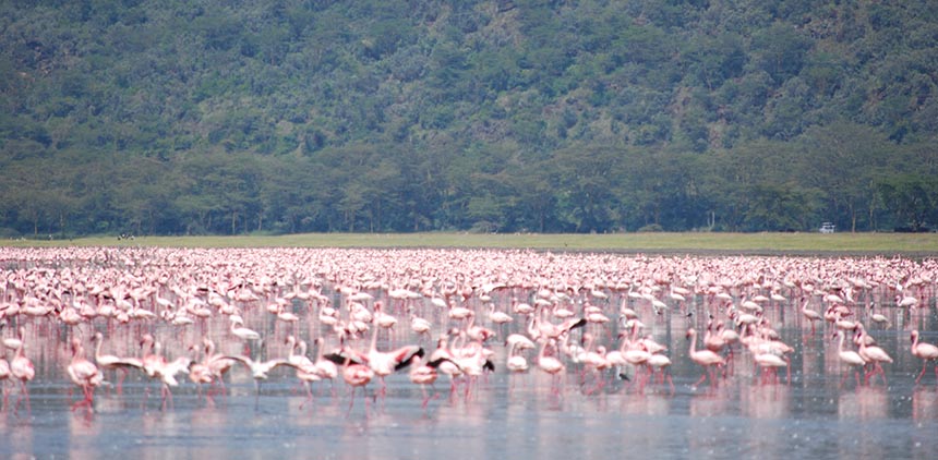 kenya_2_216.jpg