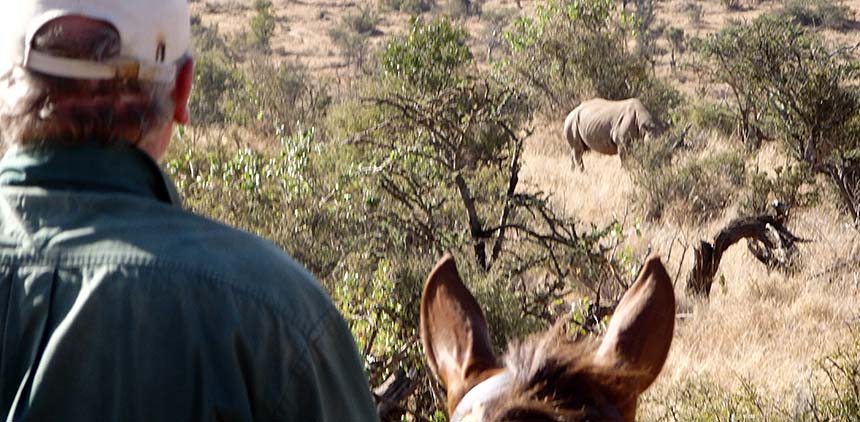 Rhino_at_Borana__13__compressed.jpg